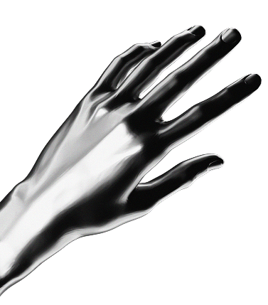 section image hand