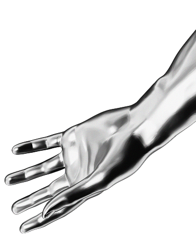 section image hand